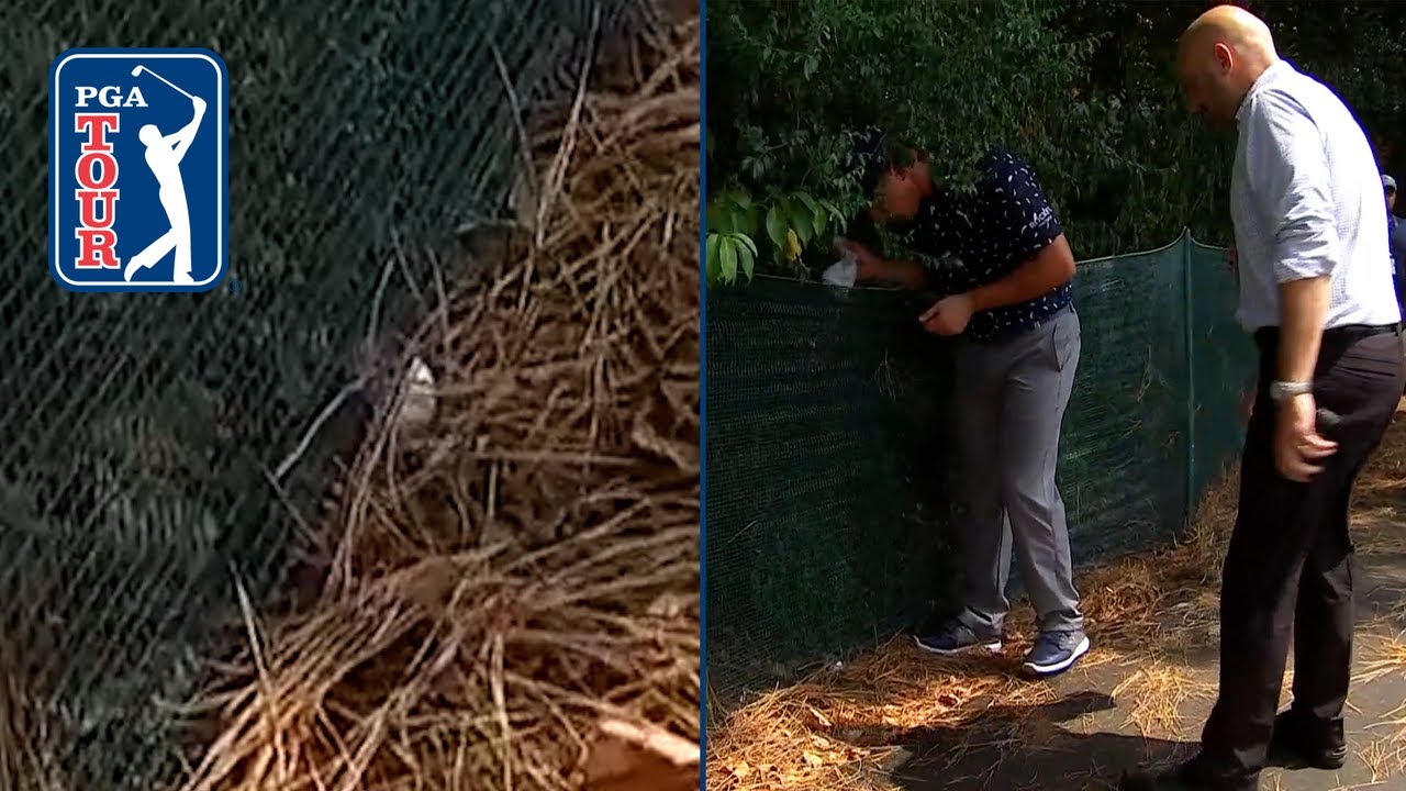 Bryson-receives-ruling-avoids-going-OB-by-inches-at-WGC-FedEx.jpg