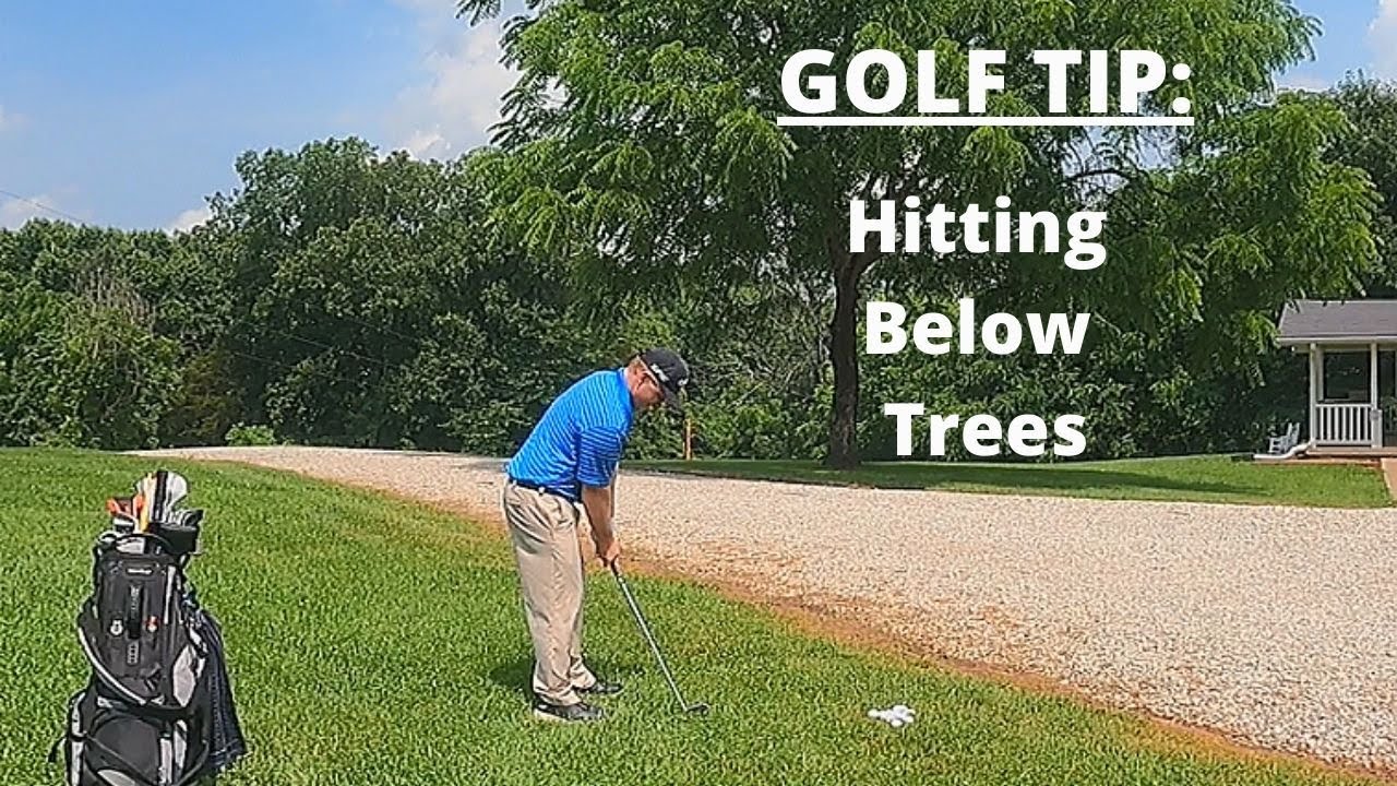 Golf-Tip-Hitting-Below-Trees.jpg