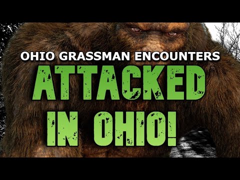 ATTACKED-IN-OHIO-Encounters-With-The-Ohio-Grassman-Part-2.jpg
