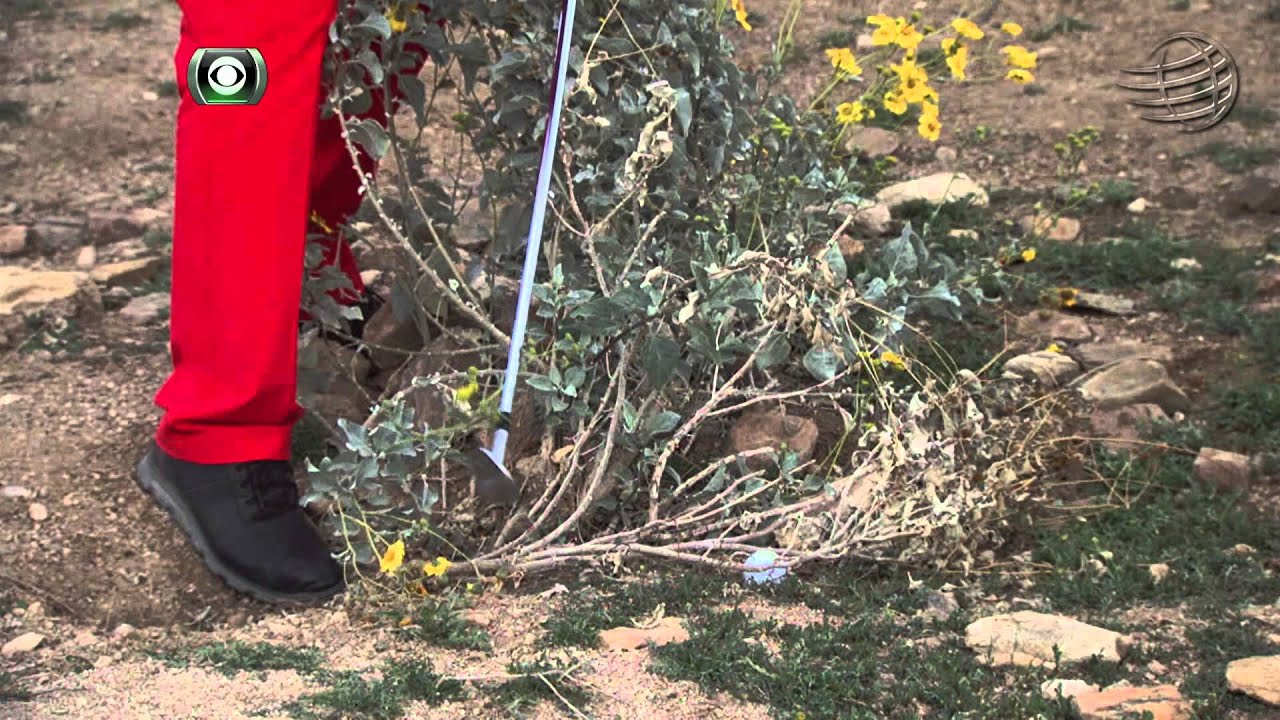 Victor Dubuisson magically escapes the desert at Match Play