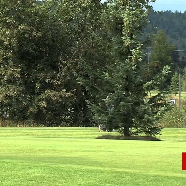 Friends Of Pine Valley Prepare To Tee Off