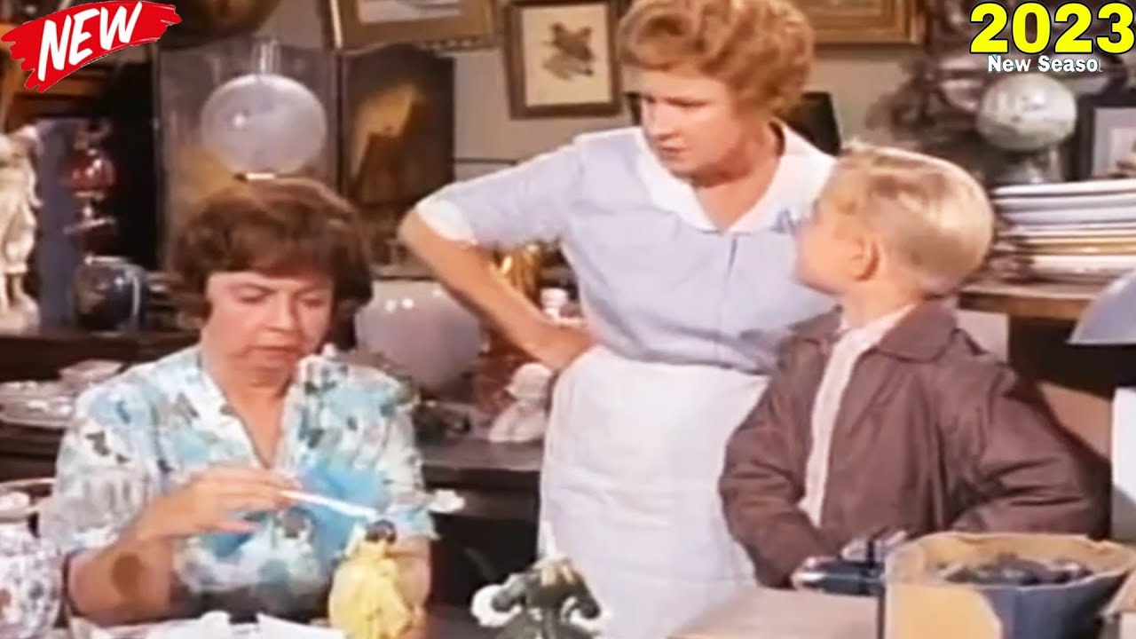 Hazel-1961–1966-TV-series-Season03-Episodes16-18Hazel-2023-Full-Episodes-Comedy.jpg