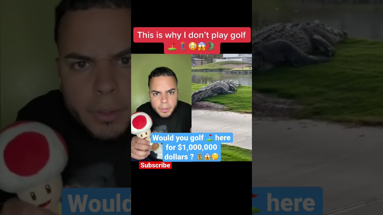 I-Cant-believe-theres-a-gator-at-the-golf-course.jpg