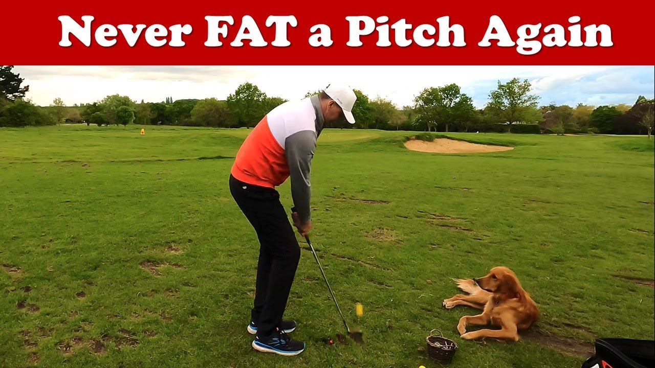 PITCHING-Never-Fat-a-Pitch-Shot-Again.jpg
