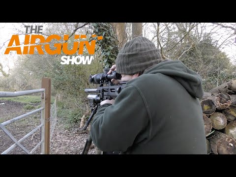 The-Airgun-Show-Long-range-rabbit-action.jpg