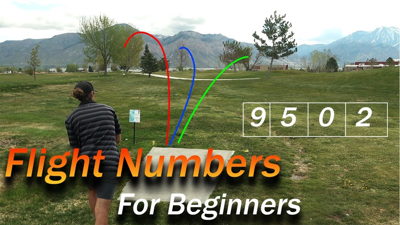 Disc-Golf-flight-numbers-for-beginners.jpg