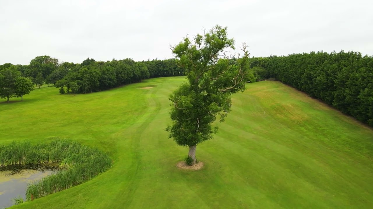 Hole-7-Par-4-383-Yards-The-Tree.jpg