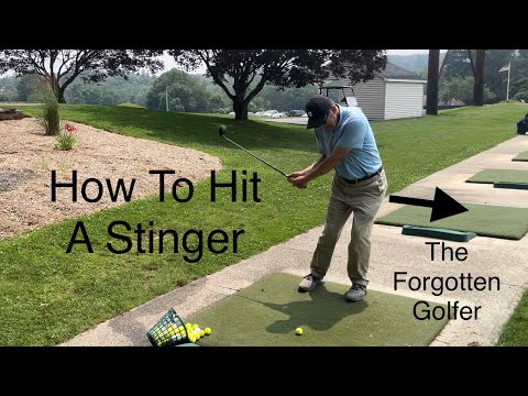 How-To-Hit-A-Stinger-When-You-Need-To.jpg