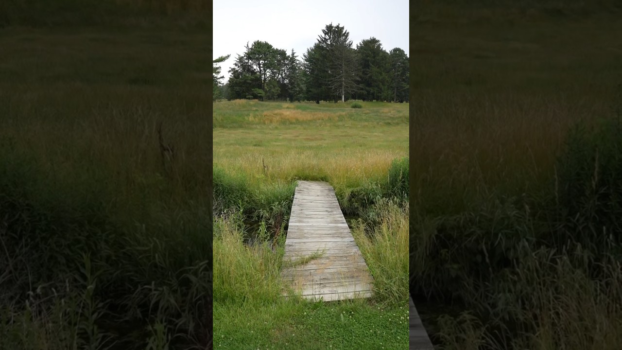 INSIDE-An-Abandoned-Golf-Course.jpg