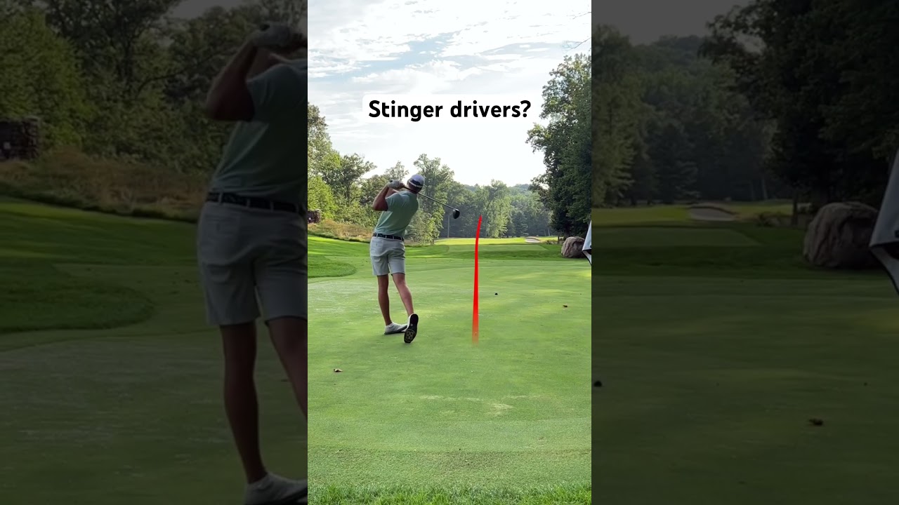 Stinger-drivers-golf.jpg