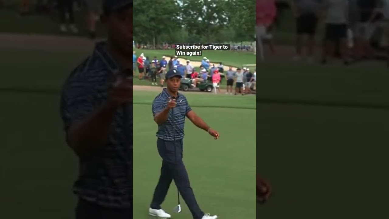 Tiger-YELLS-at-a-Cameraman-to-Back-Off-golf-golfswing.jpg