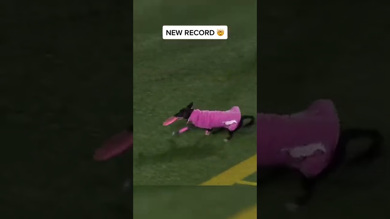 World-record-for-longest-catch-at-a-sporting-event-and.jpg