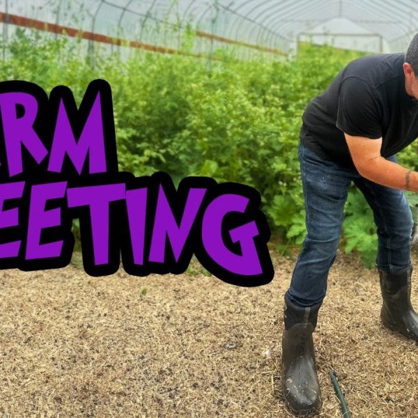 Animal Changes and Crop Plans: August Farm Meeting