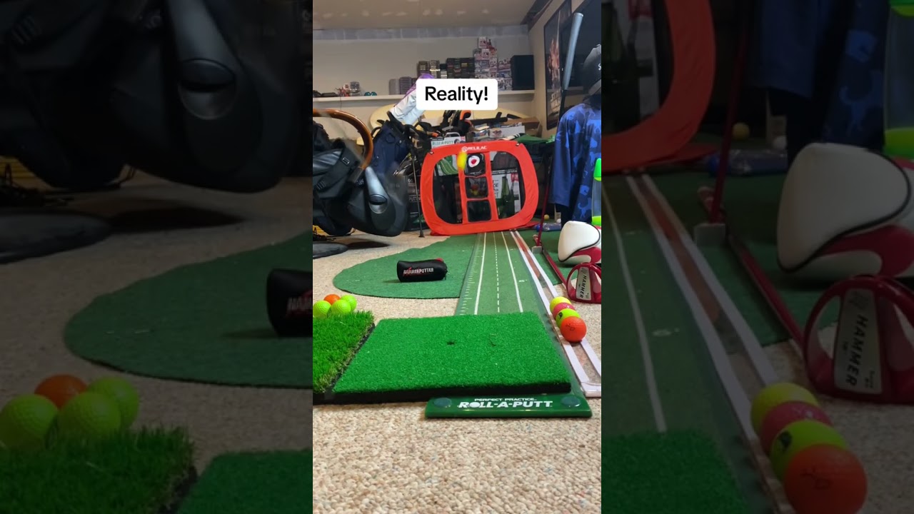 Expectations-vs-Reality-when-you-get-new-golf-chipping-net.jpg