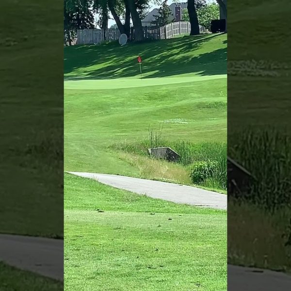 Golf is pretty much over for the year here in Illinois. My buddy’s and I filmed every par 3#golf