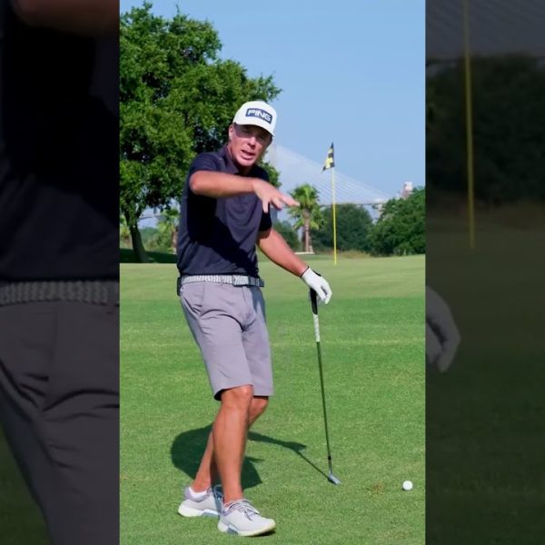 How to Hit a Chip Shot Into the Grain #shortvideo #golf #shorts