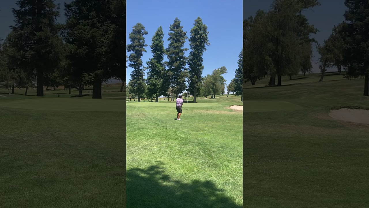 Near-Holeout-Wedge-at-Merced-County-Am.jpg