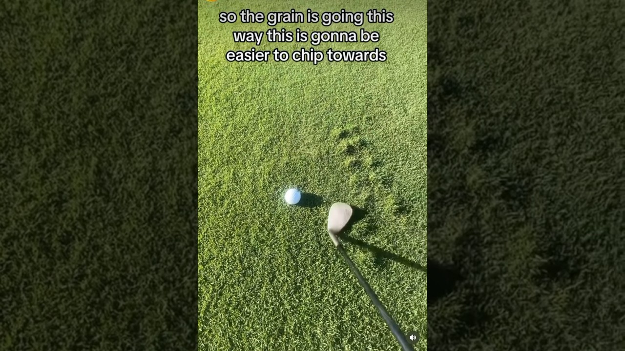 One-of-the-BEST-chipping-tips-Ive-seen-online-golf.jpg