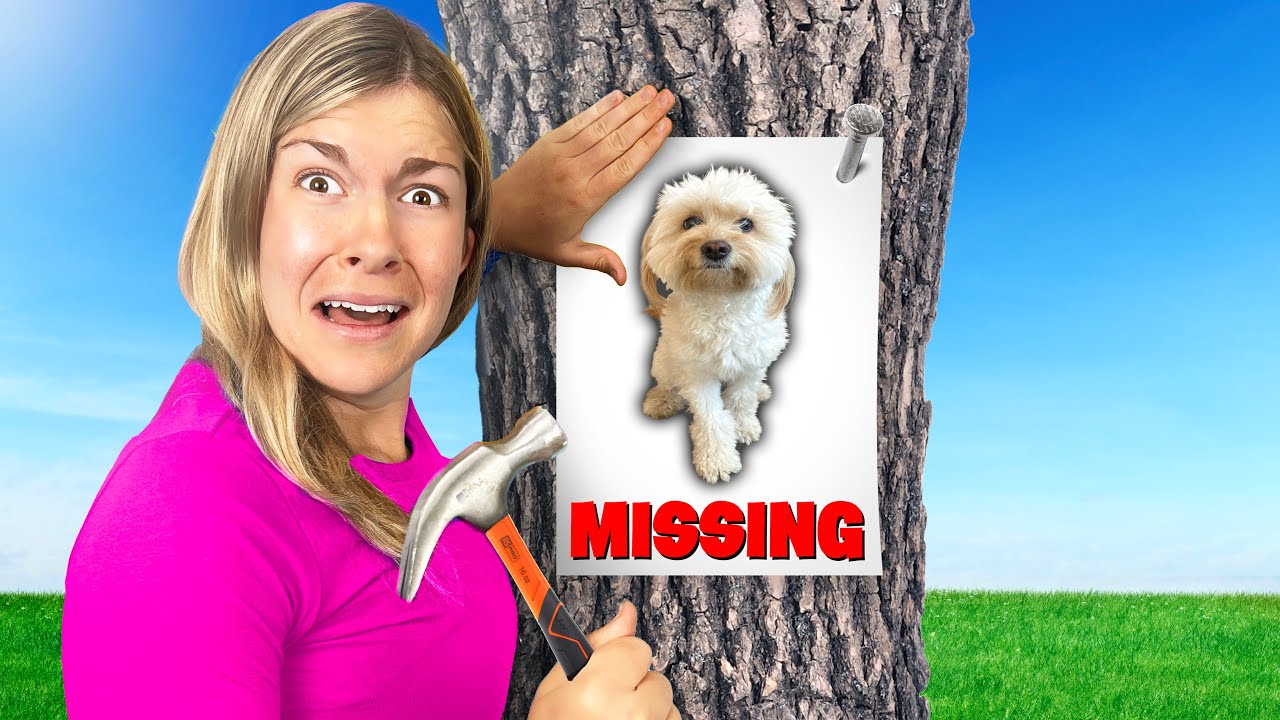Our-Dog-is-Missing.jpg