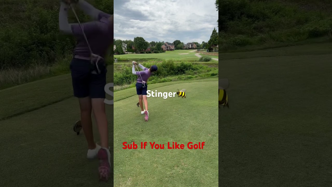 Pls-Sub-golf-golfer-viral-golfswing-shorts-short.jpg