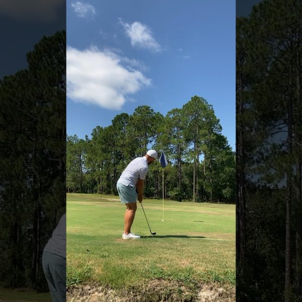 Sick Birdie on Par 4!!! #golf #golfer #golfswing #golfclap #shorts