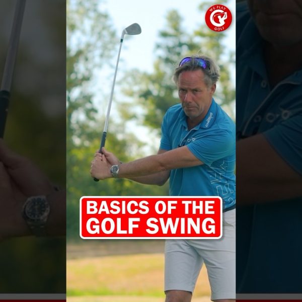 The basics of the golf swing explained #shorts