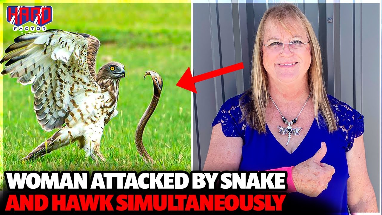 Woman Attacked by Snake and Hawk Simultaneously